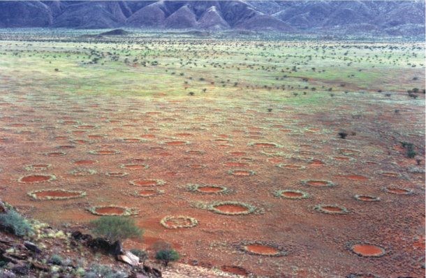 Trong suốt nhiều năm, "vòng tròn thần tiên" ở sa mạc Namib là một bí ẩn lớn đối với giới chuyên gia, nhà khoa học. Sau nhiều năm nghiên cứu, các chuyên gia đã thành công trong việc  giải mã bí ẩn về các vòng tròn kỳ bí trên.